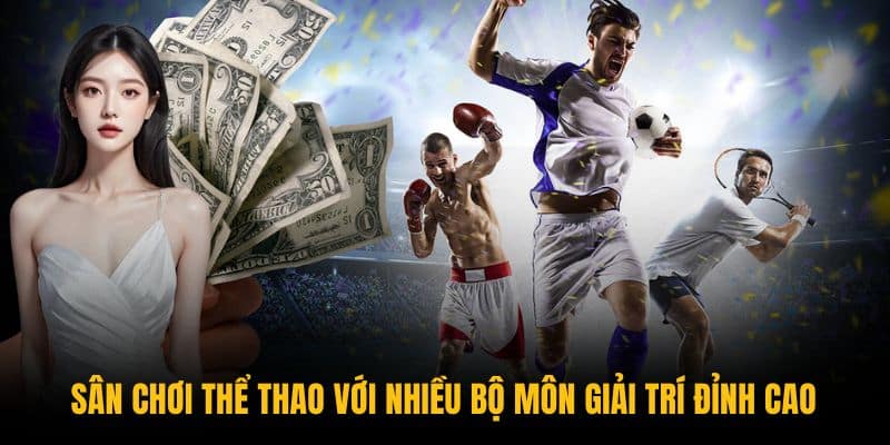 Sân chơi thể thao với nhiều bộ môn giải trí đỉnh cao Sân chơi thể thao với nhiều bộ môn giải trí đỉnh cao