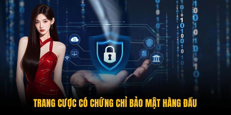 Trang cược có chứng chỉ bảo mật hàng đầu giấy chứng nhận bảo mật Geotrust
